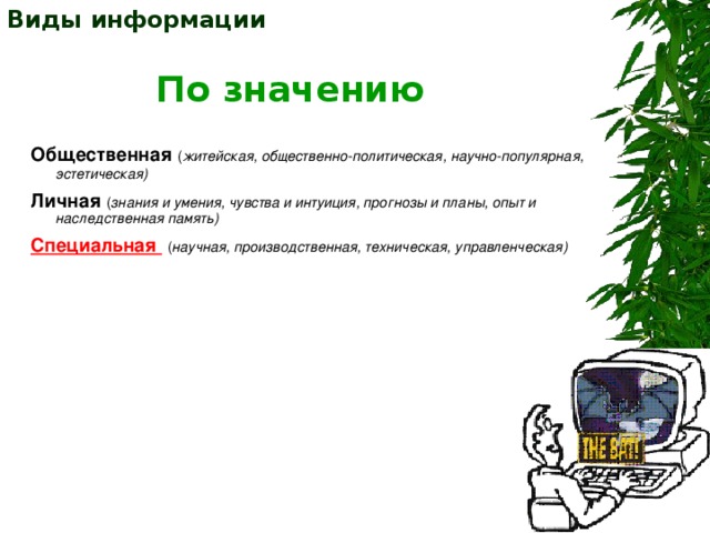 Виды информации По значению   Общественная  ( житейская, общественно-политическая, научно-популярная, эстетическая) Личная ( знания и умения, чувства и интуиция, прогнозы и планы, опыт и наследственная память) Специальная  ( научная, производственная, техническая, управленческая)             