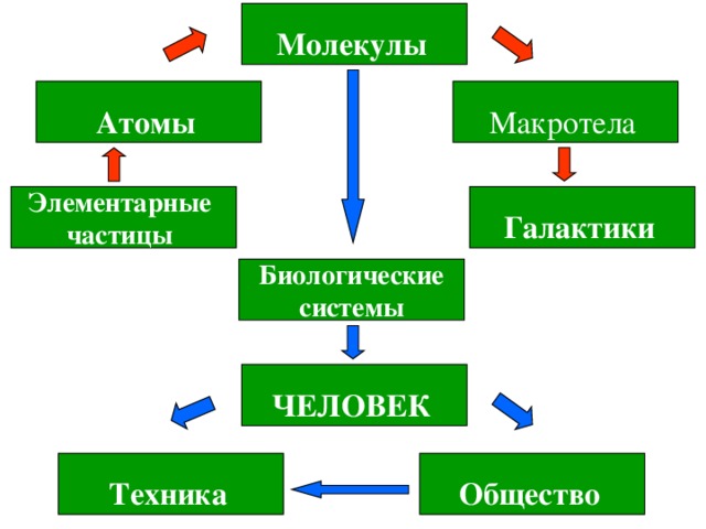 Молекулы Атомы Макротела Элементарные  частицы Галактики Галактики Биологические системы ЧЕЛОВЕК Общество Техника 