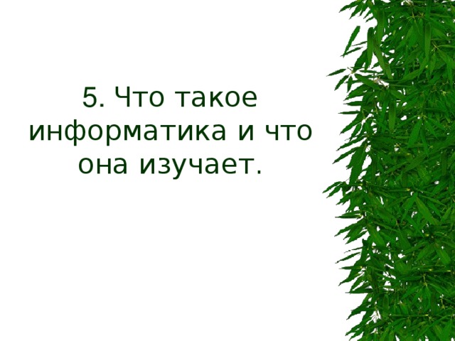 5. Что такое информатика и что она изучает. 