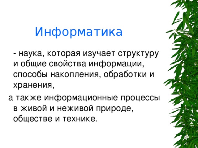 Информатика 