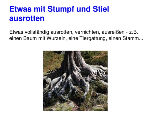 Etwas mit Stumpf und Stiel ausrotten Etwas vollständig ausrotten, vernichten, ausreißen - z.B. einen Baum mit Wurzeln, eine Tiergattung, einen Stamm... 