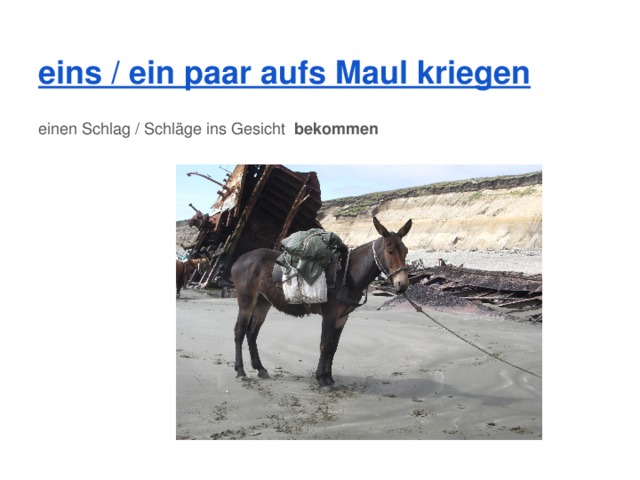 eins / ein paar aufs Maul kriegen einen Schlag / Schläge ins Gesicht bekommen   
