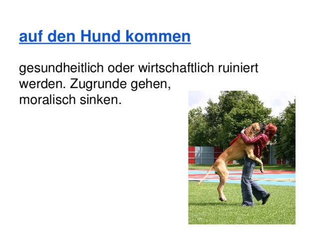   auf den Hund kommen gesundheitlich oder wirtschaftlich ruiniert werden. Zugrunde gehen, moralisch sinken. 