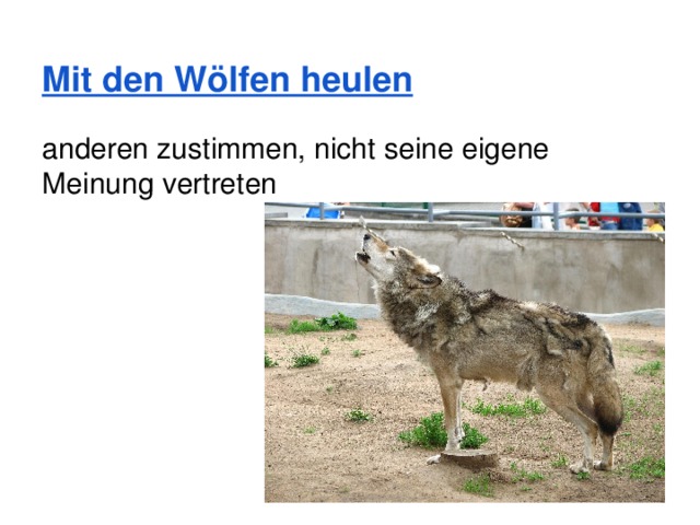 Mit den Wölfen heulen anderen zustimmen, nicht seine eigene Meinung vertreten 