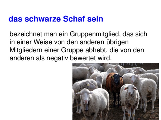 das schwarze Schaf sein bezeichnet man ein Gruppenmitglied, das sich in einer Weise von den anderen übrigen Mitgliedern einer Gruppe abhebt, die von den anderen als negativ bewertet wird. 