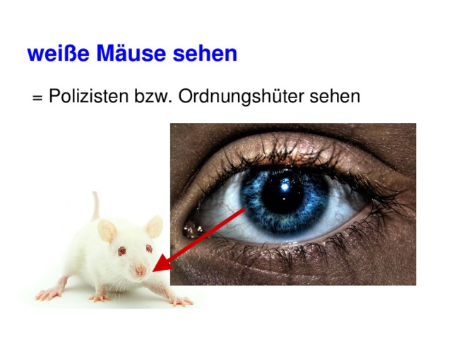 weiße Mäuse sehen  = Polizisten bzw. Ordnungshüter sehen 