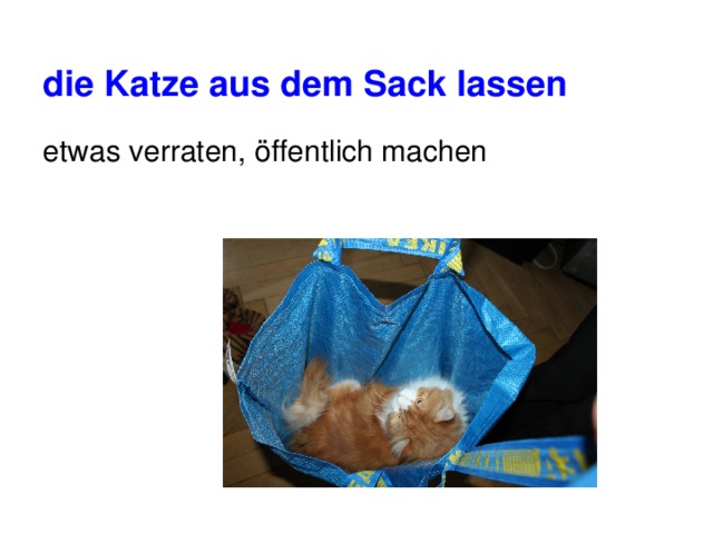 die Katze aus dem Sack lassen  etwas verraten, öffentlich machen 