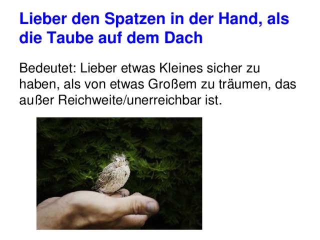 Lieber den Spatzen in der Hand, als die Taube auf dem Dach Bedeutet: Lieber etwas Kleines sicher zu haben, als von etwas Großem zu träumen, das außer Reichweite/unerreichbar ist. 