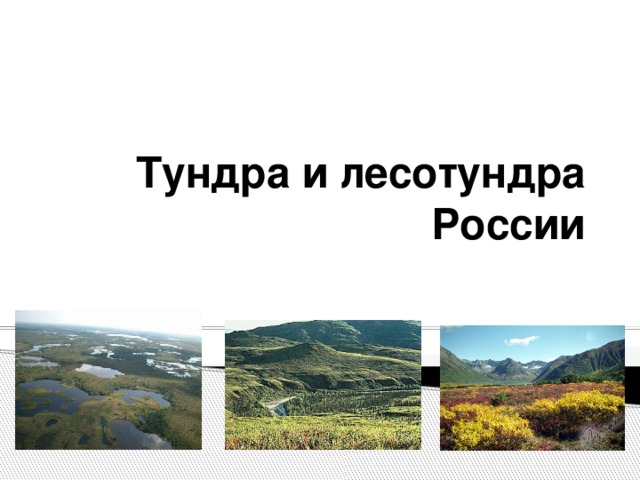 Тундра и лесотундра России 
