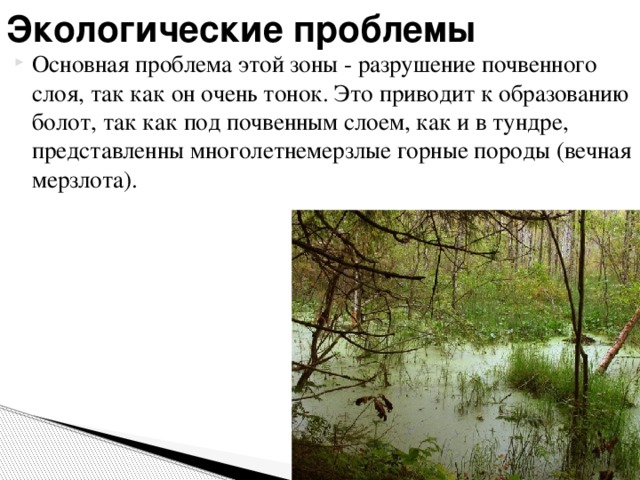 Экологические проблемы Основная проблема этой зоны - разрушение почвенного слоя, так как он очень тонок. Это приводит к образованию болот, так как под почвенным слоем, как и в тундре, представленны многолетнемерзлые горные породы (вечная мерзлота). 