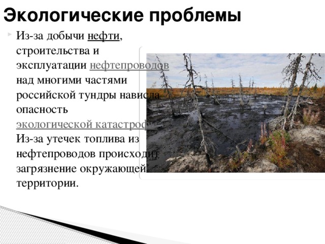 Экологические проблемы Из-за добычи нефти , строительства и эксплуатации нефтепроводов над многими частями российской тундры нависла опасность экологической катастрофы . Из-за утечек топлива из нефтепроводов происходит загрязнение окружающей территории. 