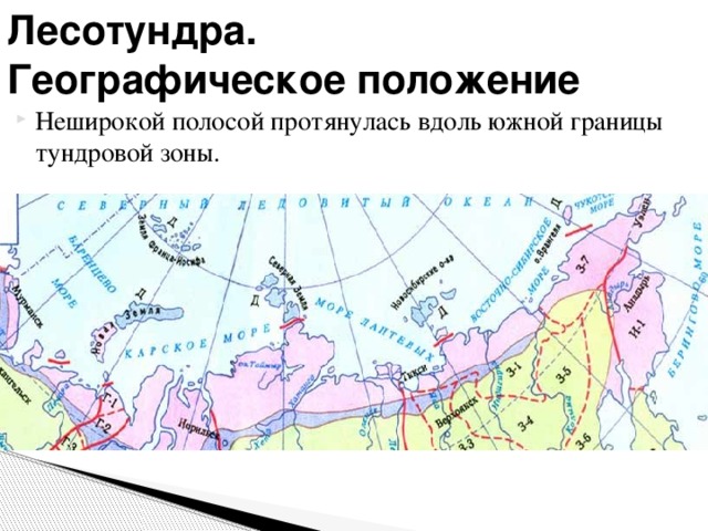 Лесотундра.  Географическое положение Неширокой полосой протянулась вдоль южной границы тундровой зоны. 