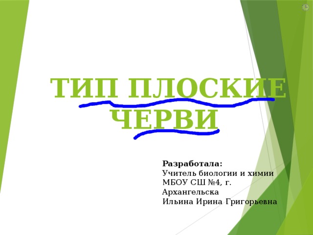    ТИП ПЛОСКИЕ ЧЕРВИ   Разработала: Учитель биологии и химии МБОУ СШ №4, г. Архангельска Ильина Ирина Григорьевна 
