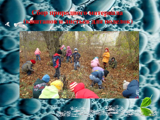 Сбор природного материала (каштанов и листьев для поделок) 