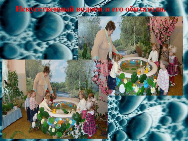 Искусственный водоем и его обитатели. 