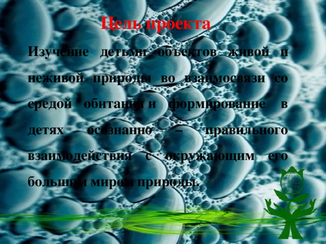 Цель проекта Изучение детьми объектов живой и неживой природы во взаимосвязи со средой обитания и формирование  в детях осознанно – правильного взаимодействия с окружающим его большим миром природы. 