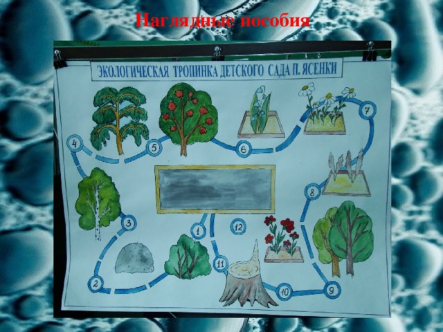Наглядные пособия 