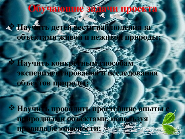 Обучающие задачи проекта Научить детей вести наблюдения за объектами живой и неживой природы;  Научить конкретным способам экспериментирования и исследования объектов природы;  Научить проводить простейшие опыты с природными объектами, используя правила безопасности; 