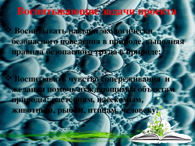 Воспитывающие задачи проекта  Воспитывать навыки экологически безопасного поведения в природе, выполняя правила безопасного труда в природе;   Воспитывать чувство сопереживания  и желания помочь нуждающимся объектам природы: растениям, насекомым, животным, рыбам, птицам, человеку. 