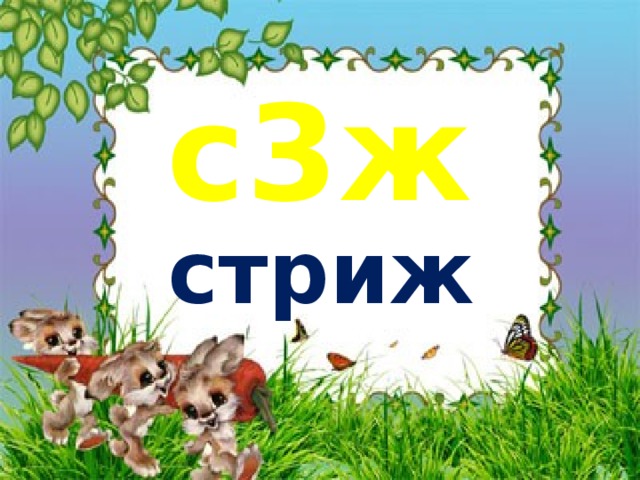 с3ж стриж 