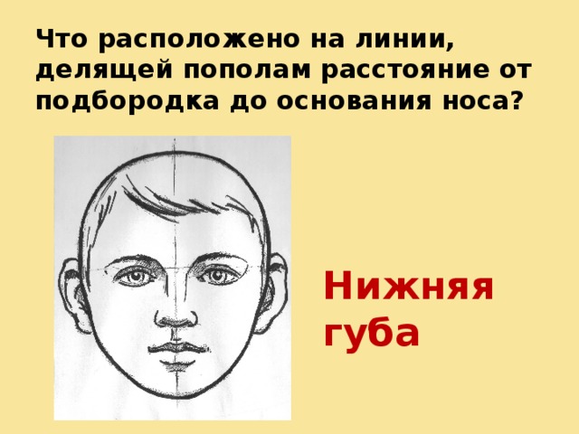 Изображение головы человека в пространстве презентация изо 6 класс