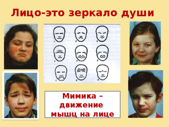 Лицо-это зеркало души Мимика – движение мышц на лице 