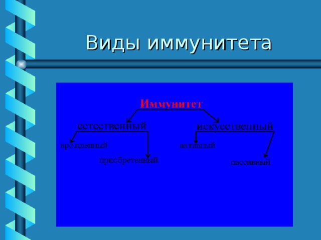 Виды иммунитета 