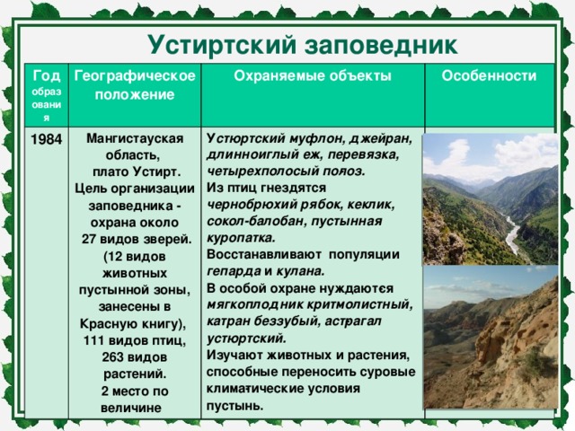 Заповедник устюртский презентация