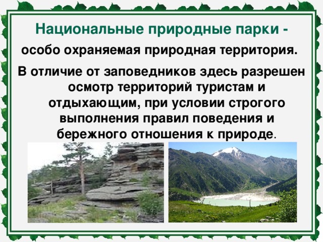 Проект на тему особо охраняемые природные территории и их значение в охране природы