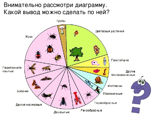 На уроке биологии дети отметили на диаграмме длину насекомых в миллиметрах