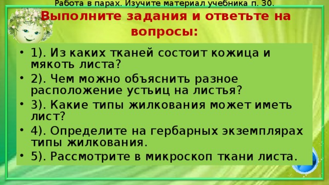 Работа в парах. Изучите материал учебника п. 30.   Выполните задания и ответьте на вопросы:   1). Из каких тканей состоит кожица и мякоть листа? 2). Чем можно объяснить разное расположение устьиц на листья? 3). Какие типы жилкования может иметь лист? 4). Определите на гербарных экземплярах типы жилкования. 5). Рассмотрите в микроскоп ткани листа. 
