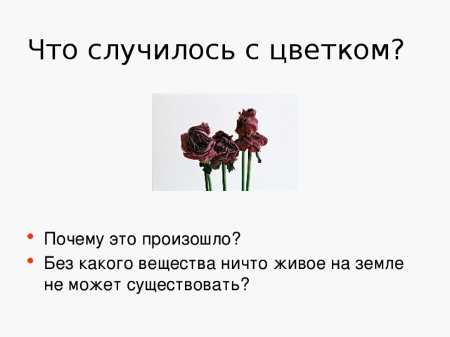 Что случилось с цветком? Почему это произошло? Без какого вещества ничто живое на земле не может существовать?  