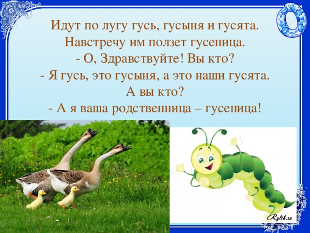 Идут по лугу гусь, гусыня и гусята. Навстречу им ползет гусеница.  - О, Здравствуйте! Вы кто?  - Я гусь, это гусыня, а это наши гусята. А вы кто?  - А я ваша родственница – гусеница! 