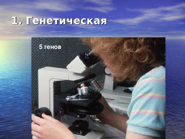 1. Генетическая 5 генов 