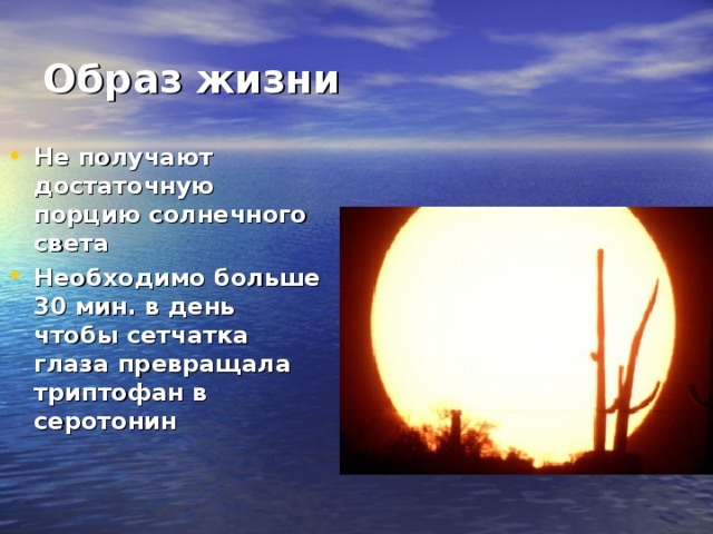 Образ жизни Не получают достаточную порцию солнечного света Необходимо больше 30 мин. в день чтобы сетчатка глаза превращала триптофан в серотонин 