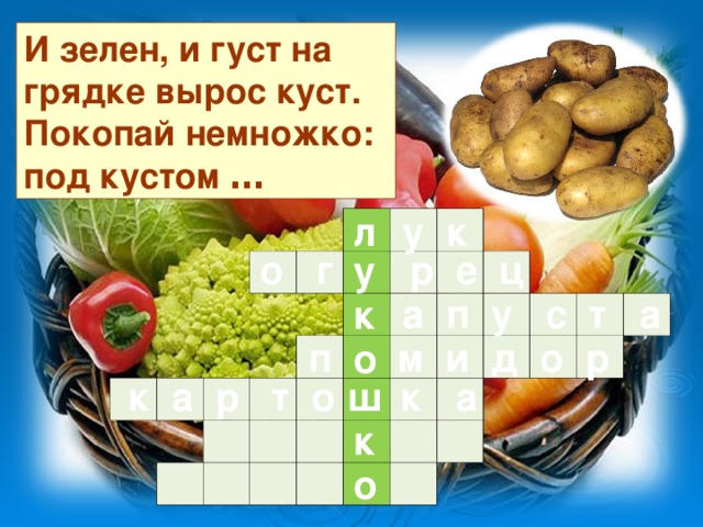 И зелен, и густ на грядке вырос куст.  Покопай немножко: под кустом … у к л                                                                                                                                    о г р е ц у  а п у с т а к  п м и д о р о  к а р т о к а ш к о