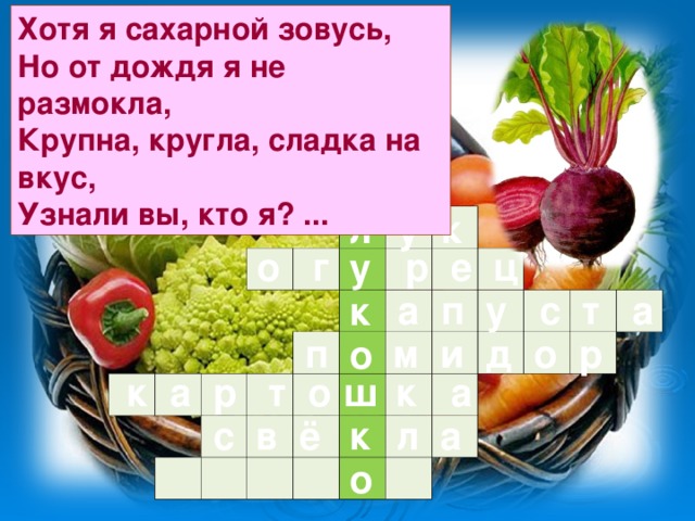 Хотя я сахарной зовусь,  Но от дождя я не размокла,  Крупна, кругла, сладка на вкус,  Узнали вы, кто я? ... у к л                                                                                                                                    о г р е ц у  а п у с т а к  п м и д о р о  к а р т о к а ш  с в ё л а к о