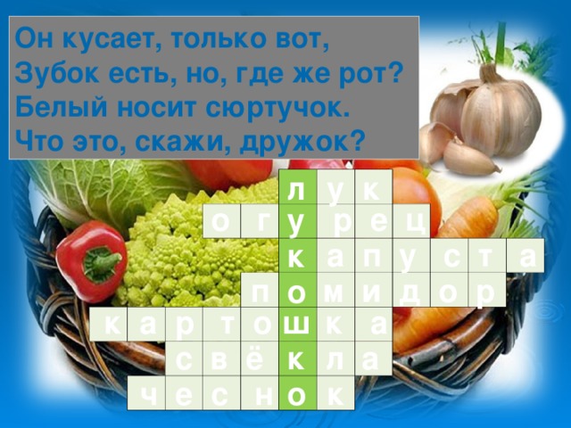 Он кусает, только вот,  Зубок есть, но, где же рот?  Белый носит сюртучок.  Что это, скажи, дружок? л у к                                                                                                                                    о г р е ц у  а п у с т а к  п м и д о р о  к а р т о к а ш  с в ё л а к  ч е с н к о