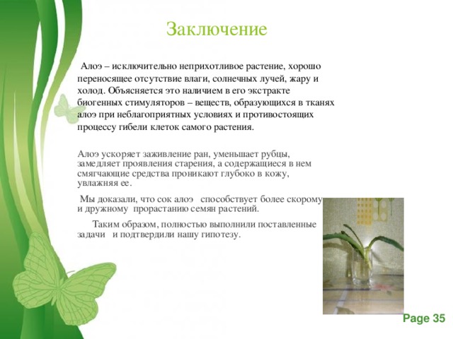 Выводы по проекту комнатные растения