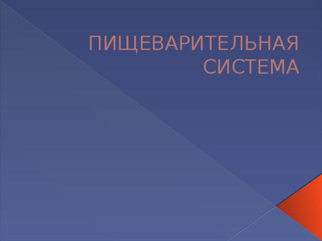 ПИЩЕВАРИТЕЛЬНАЯ СИСТЕМА 