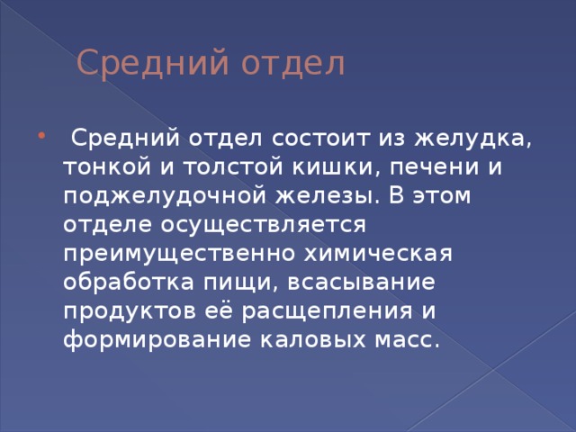   Средний отдел   Средний отдел состоит из желудка, тонкой и толстой кишки, печени и поджелудочной железы. В этом отделе осуществляется преимущественно химическая обработка пищи, всасывание продуктов её расщепления и формирование каловых масс.  
