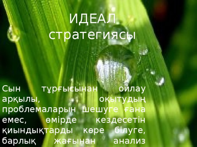 ИДЕАЛ  стратегиясы Сын тұрғысынан ойлау арқылы, оқытудың проблемаларын шешуге ғана емес, өмірде кездесетін қиындықтарды көре білуге, барлық жағынан анализ жасауға, оптималды жағынан шешуге негізделген