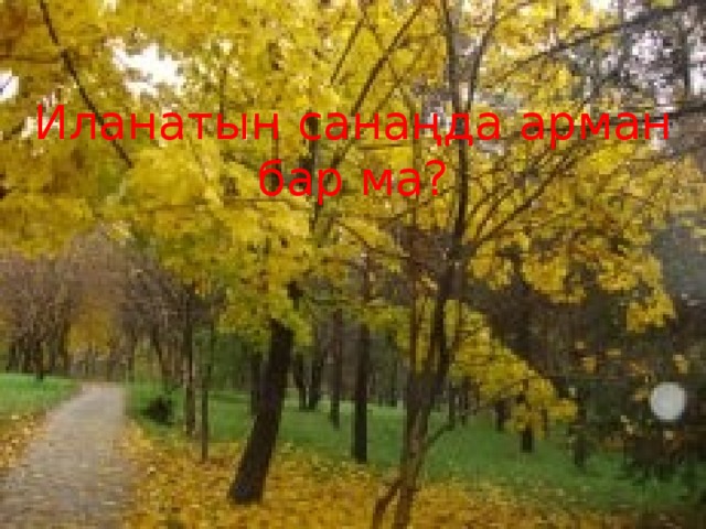 Иланатын санаңда арман бар ма? иықтағы басыңды мазалайтын ой барма