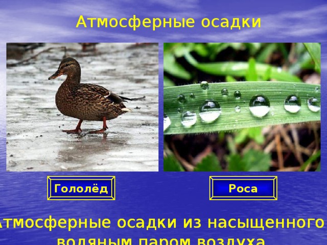 Атмосферные осадки Роса Гололёд Атмосферные осадки из насыщенного Атмосферные осадки из насыщенного водяным паром воздуха водяным паром воздуха  