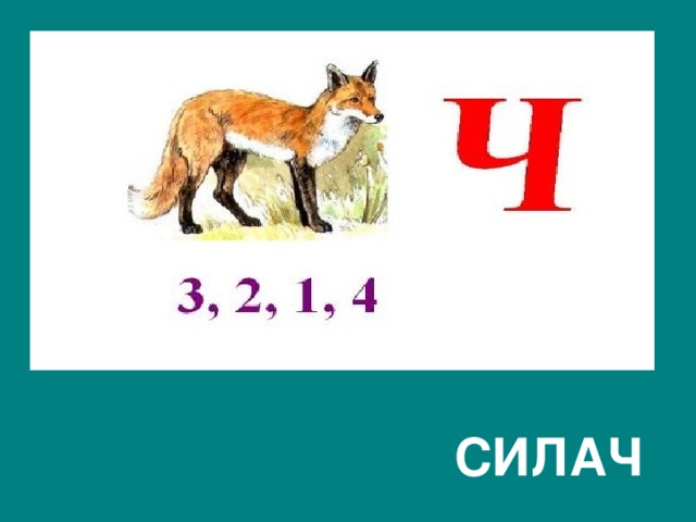  СИЛАЧ 