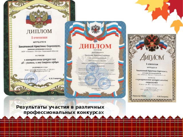 Результаты участия в различных профессиональных конкурс ах