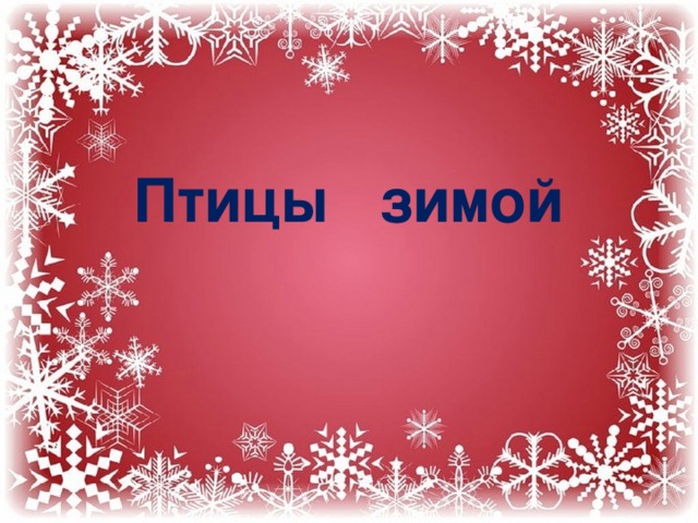 . Птицы зимой