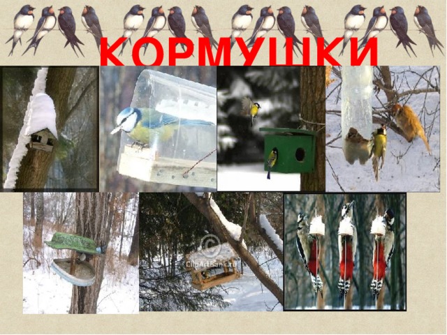 КОРМУШКИ