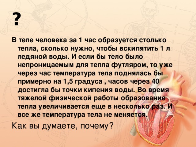 Через сколько часов появляется. Биология 8 класс терморегуляция организма закаливание. Терморегуляция организма закаливание 8 класс. Выделение тепла человеком в час. Терморегуляция организма закаливание 8 класс конспект урока.