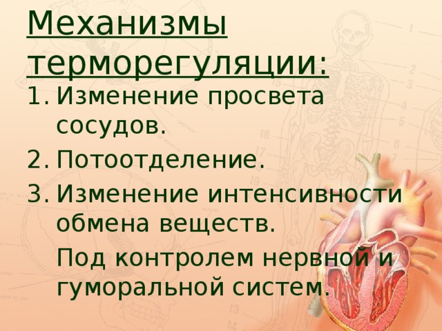 Какова роль потоотделения в терморегуляции. Гуморальная терморегуляция. Гуморальные механизмы терморегуляции. Нервная и гуморальная терморегуляция. Нервные и гуморальные механизмы терморегуляции.